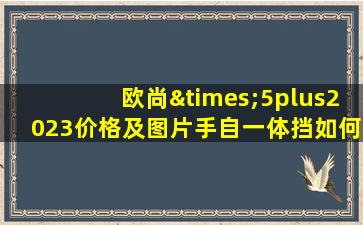 欧尚×5plus2023价格及图片手自一体挡如何使用