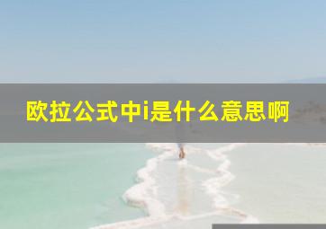 欧拉公式中i是什么意思啊