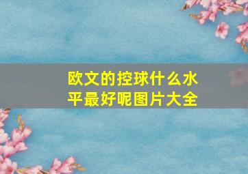 欧文的控球什么水平最好呢图片大全