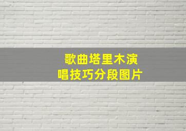 歌曲塔里木演唱技巧分段图片