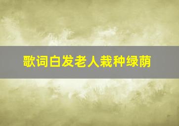 歌词白发老人栽种绿荫