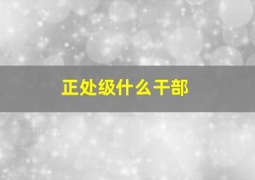 正处级什么干部