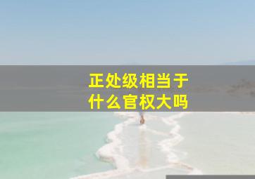 正处级相当于什么官权大吗