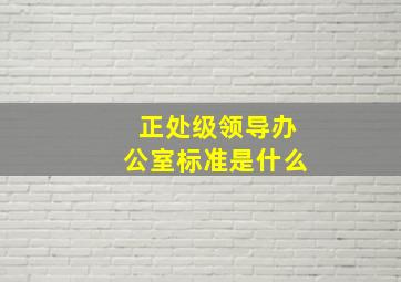 正处级领导办公室标准是什么