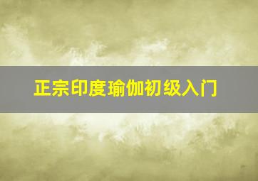 正宗印度瑜伽初级入门