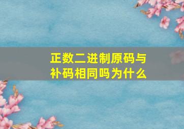 正数二进制原码与补码相同吗为什么