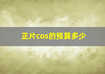 正片cos的预算多少