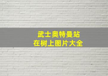 武士奥特曼站在树上图片大全