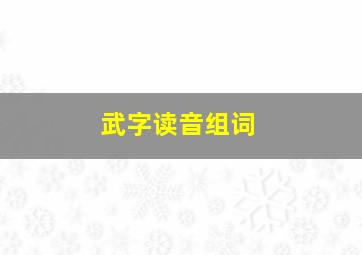 武字读音组词