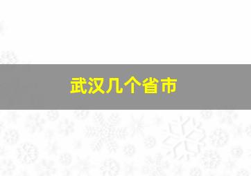 武汉几个省市