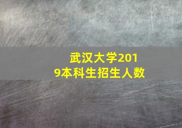 武汉大学2019本科生招生人数