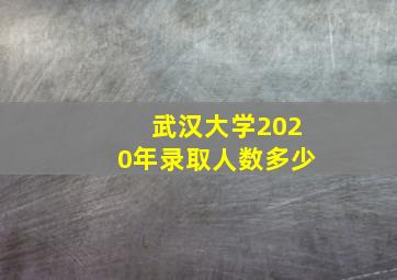 武汉大学2020年录取人数多少