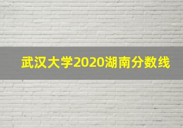 武汉大学2020湖南分数线