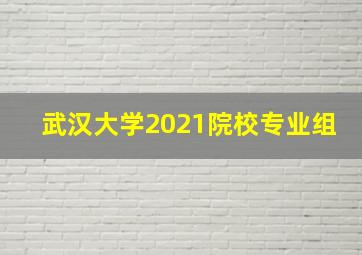 武汉大学2021院校专业组