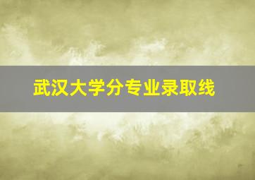 武汉大学分专业录取线