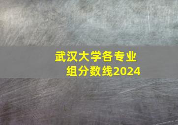 武汉大学各专业组分数线2024