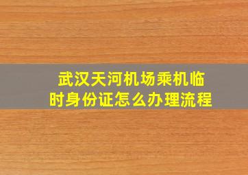 武汉天河机场乘机临时身份证怎么办理流程