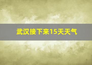 武汉接下来15天天气