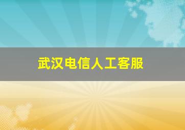 武汉电信人工客服