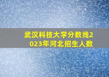 武汉科技大学分数线2023年河北招生人数