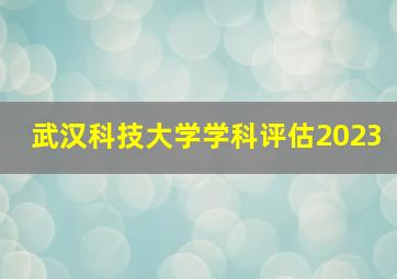 武汉科技大学学科评估2023