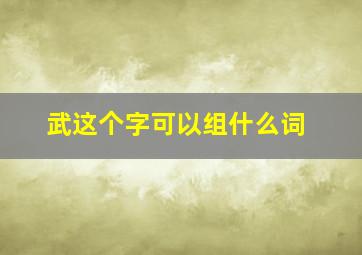 武这个字可以组什么词