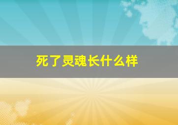 死了灵魂长什么样