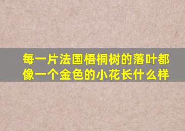 每一片法国梧桐树的落叶都像一个金色的小花长什么样