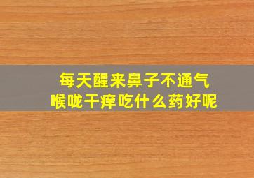 每天醒来鼻子不通气喉咙干痒吃什么药好呢