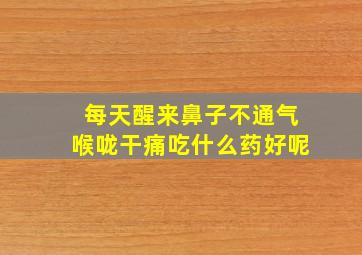 每天醒来鼻子不通气喉咙干痛吃什么药好呢