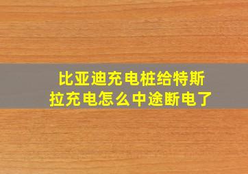 比亚迪充电桩给特斯拉充电怎么中途断电了