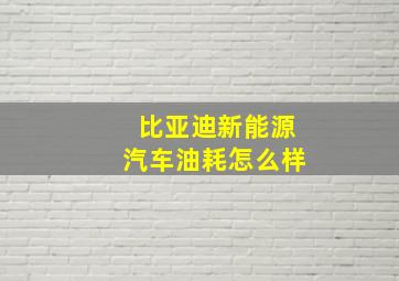 比亚迪新能源汽车油耗怎么样