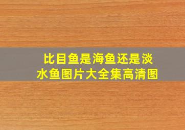 比目鱼是海鱼还是淡水鱼图片大全集高清图