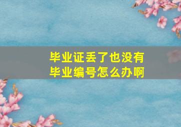 毕业证丢了也没有毕业编号怎么办啊