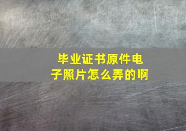 毕业证书原件电子照片怎么弄的啊