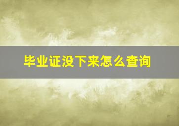 毕业证没下来怎么查询