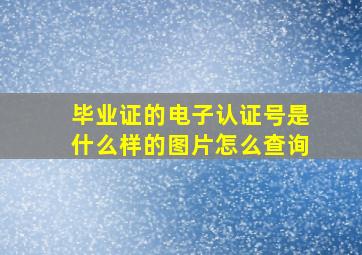 毕业证的电子认证号是什么样的图片怎么查询