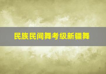 民族民间舞考级新疆舞