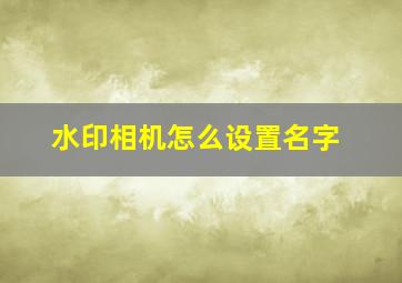 水印相机怎么设置名字