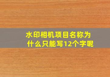 水印相机项目名称为什么只能写12个字呢