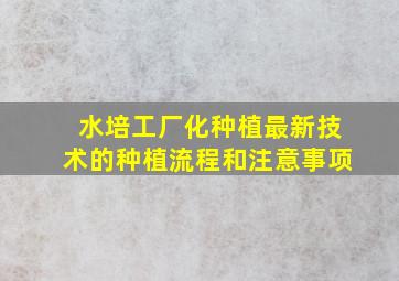 水培工厂化种植最新技术的种植流程和注意事项