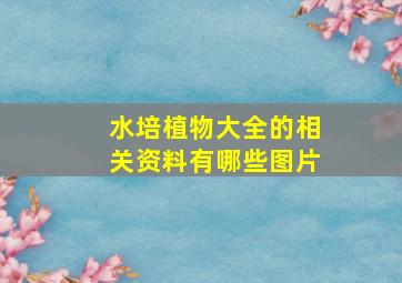 水培植物大全的相关资料有哪些图片