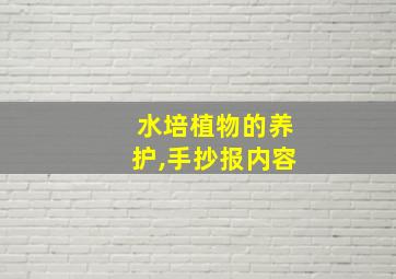 水培植物的养护,手抄报内容