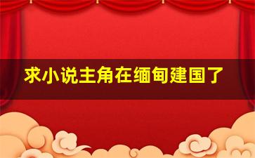 求小说主角在缅甸建国了