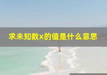 求未知数x的值是什么意思