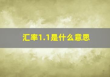 汇率1.1是什么意思