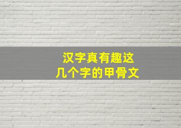 汉字真有趣这几个字的甲骨文