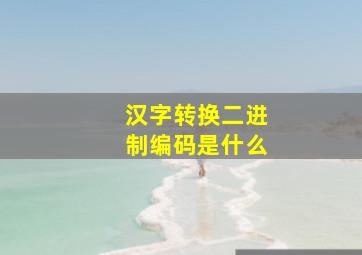 汉字转换二进制编码是什么