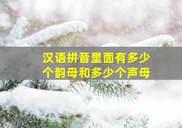 汉语拼音里面有多少个韵母和多少个声母