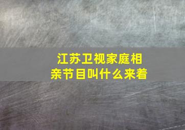 江苏卫视家庭相亲节目叫什么来着